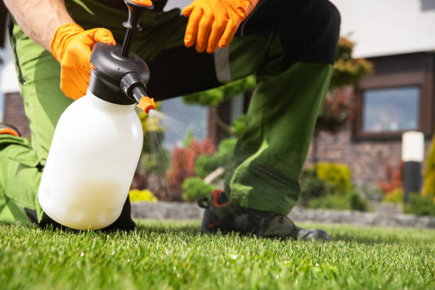 Best Pest Removal Services  in Madras, OR