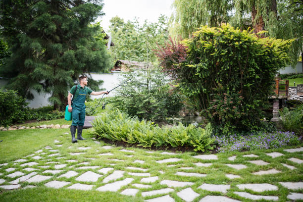 Best Wasp Removal Services  in Madras, OR