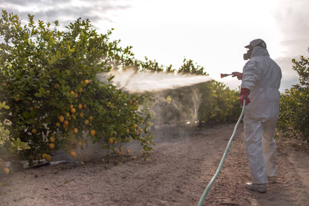 Best Spider Control Near Me  in Madras, OR