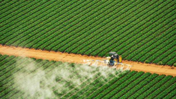 Best Pest Control Treatment  in Madras, OR